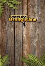Poster da série Meet the Orangutans
