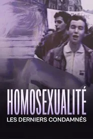 Homosexualité, les derniers condamnés movie poster