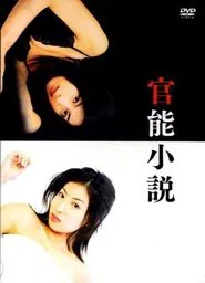 Poster do filme Kannou Shousetsu