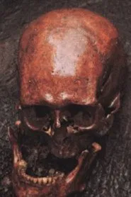 Archaeological Excavations at Skálholt in 1954 movie poster