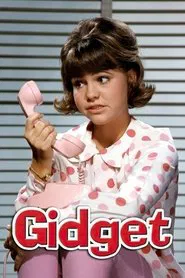 Gidget tv show poster