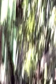 Poster do filme Daybreaks