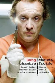 Aufschneider tv show poster