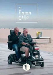Twee Tinten Grijs tv show poster