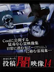 Honto ni Atta: Toko Yami Eizo 14 movie poster