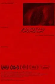 Accidentally Intentional movie poster