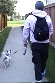 PARKING LOT CARNIVAL BEHIND THE SCENES ACTUALITE movie poster