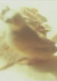 Ich hasse, ich liebe Film movie poster