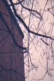 Hometown Searching movie poster