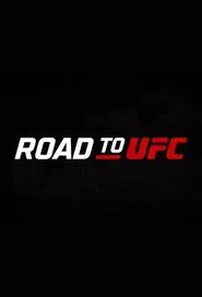 Poster da série Road to UFC