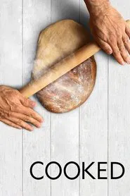 Cooked tv show poster