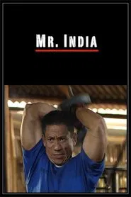 Poster do filme Mr. India