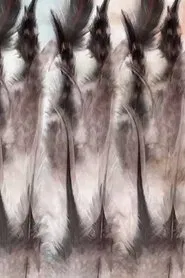 The Anatomy of a Feather movie poster