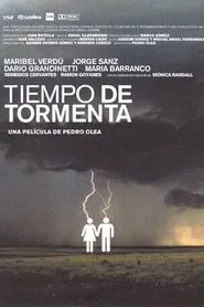 Stormy Weather movie poster