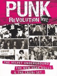 Punk Revolution NYC movie poster