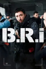 The Brigade tv show poster