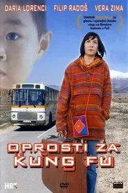 Sorry for Kung Fu movie poster