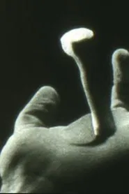 Non Catholicam movie poster