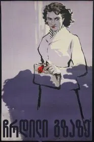 The Shadow On Road movie poster