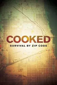 Poster do filme Cooked: Survival by Zip Code