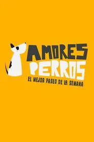 Poster da série Amores perros