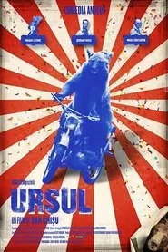 The Bear movie poster