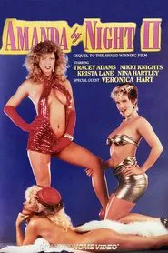 Amanda by Night 2 movie poster