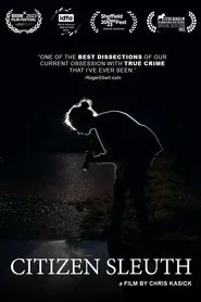 Citizen Sleuth movie poster