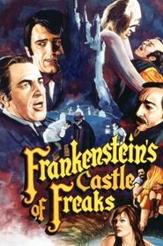 Poster do filme Fantasma de Biquíni