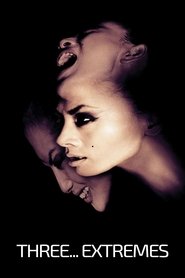 Three... Extremes movie poster