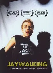 Poster do filme Jaywalking