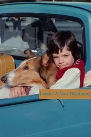Lassie: The New Beginning movie poster