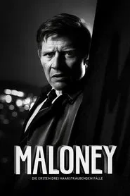 Maloney - Die ersten drei haarsträubenden Fälle movie poster
