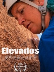 Poster do filme Elevados