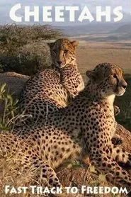 Cheetahs: Fast Track to Freedom movie poster