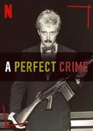 A Perfect Crime tv show poster