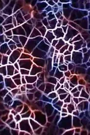 Compound Eye movie poster