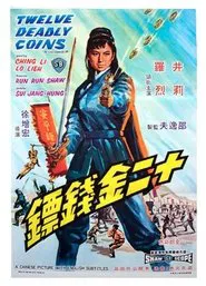 Twelve Deadly Coins movie poster