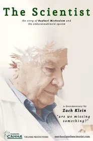 The Scientist: Are We Missing Something? movie poster