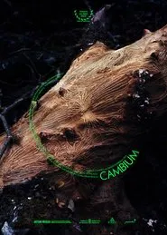 Cambium movie poster