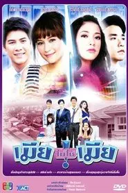 Wife, Not My Wife tv show poster