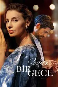 Sadece Bir Gece movie poster