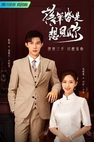 Love at Second Sight tv show poster
