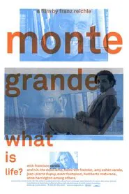 Monte Grande: What is Life? movie poster