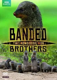 Banded Brothers: The Mongoose Mob tv show poster