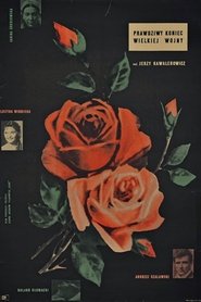 The Real End of the Great War movie poster