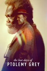 The Last Days of Ptolemy Grey tv show poster