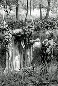 A Midsummer Night's Dream movie poster