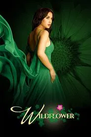 Wildflower tv show poster