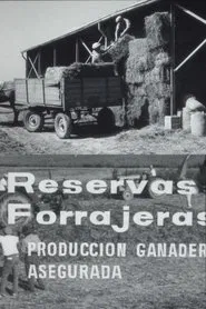 Reservas forrajeras, producción ganadera asegurada movie poster